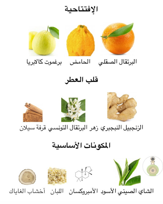 North Stag Expressions III Trois Paris Corner رائحه الليمون والحمضيات الصيفيه المنعشه