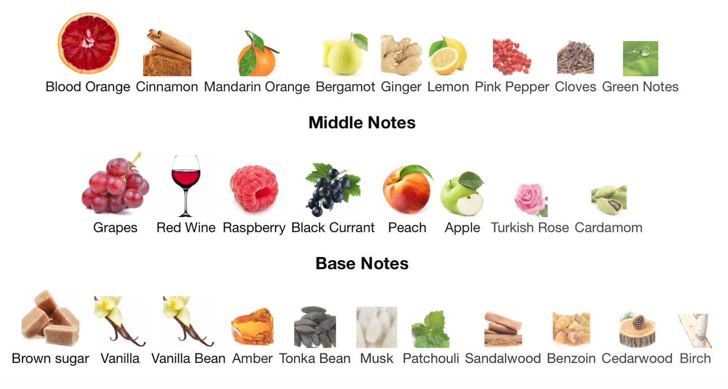 Sun Gria - lorenzo pazzaglia