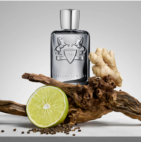 Castley Eau de Parfum