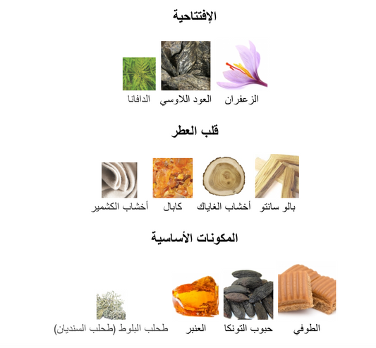 Eternal Wood Mancera