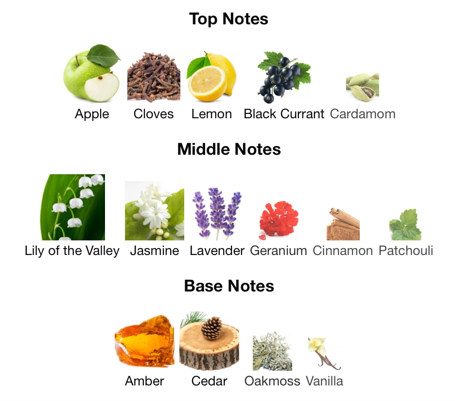 ORAVA عطر رجال الاعمال