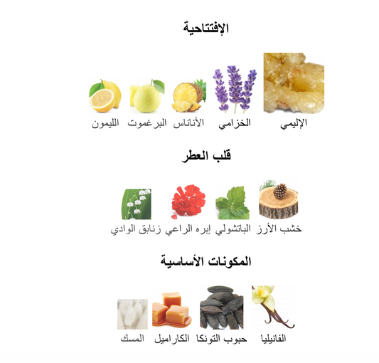 🦁 HUNTER – عطر الرجولة والقوة!