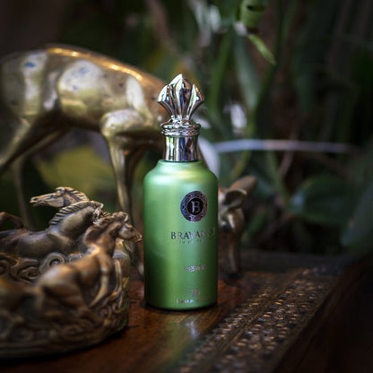 Bravanzo Vestige by ramon bejarبديل ساسبيرو