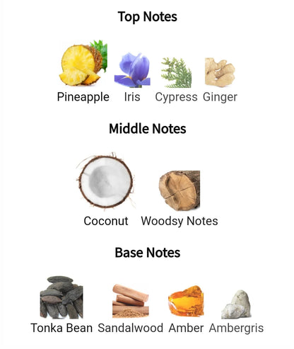 Jean Paul Gaultier Le Beau