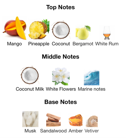 Summer Hammer - lorenzo pazzaglia