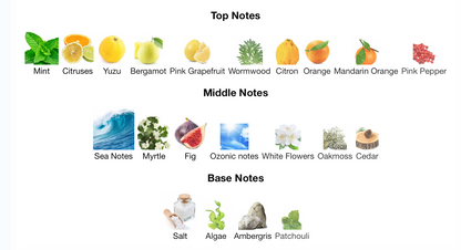 Sex Sea - lorenzo pazzaglia