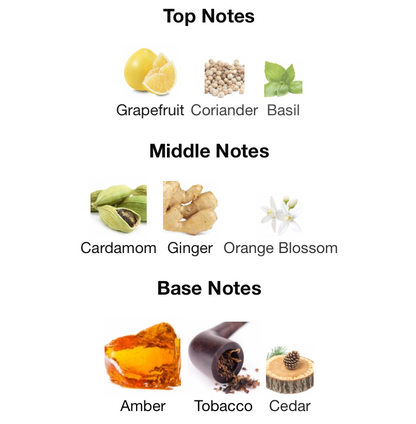 Dolce & Gabbana The One perfume