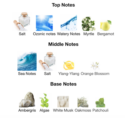 Black Sea - lorenzo pazzaglia