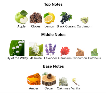 ORAVA عطر رجال الاعمال