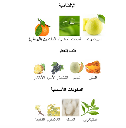 رائحة الحمضيات ١٠٠  مل  بديل ايماجينيشن