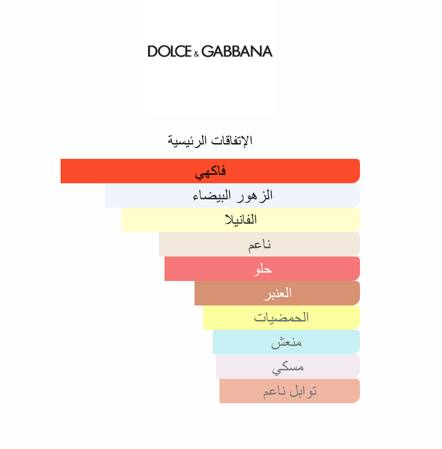The One Dolce&Gabbana