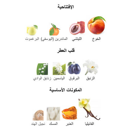 The One Dolce&Gabbana