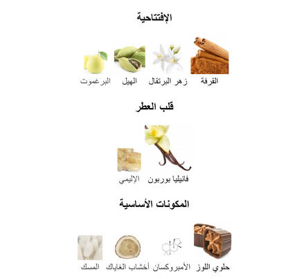 Liquid Brun French Avenue