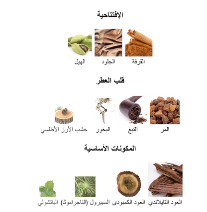 Xerjoff ALEXANDRIA II