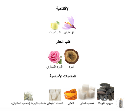 Arabians Tonka Montale