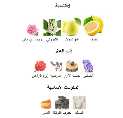 Versace Pour Homme Versace