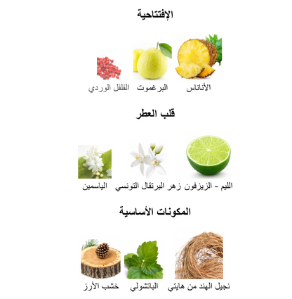 Hacivat X Nishane 50 ml